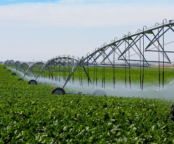 Center pivot irrigation system watering a lush green crop field under clear blue sky in modern agricultural farm